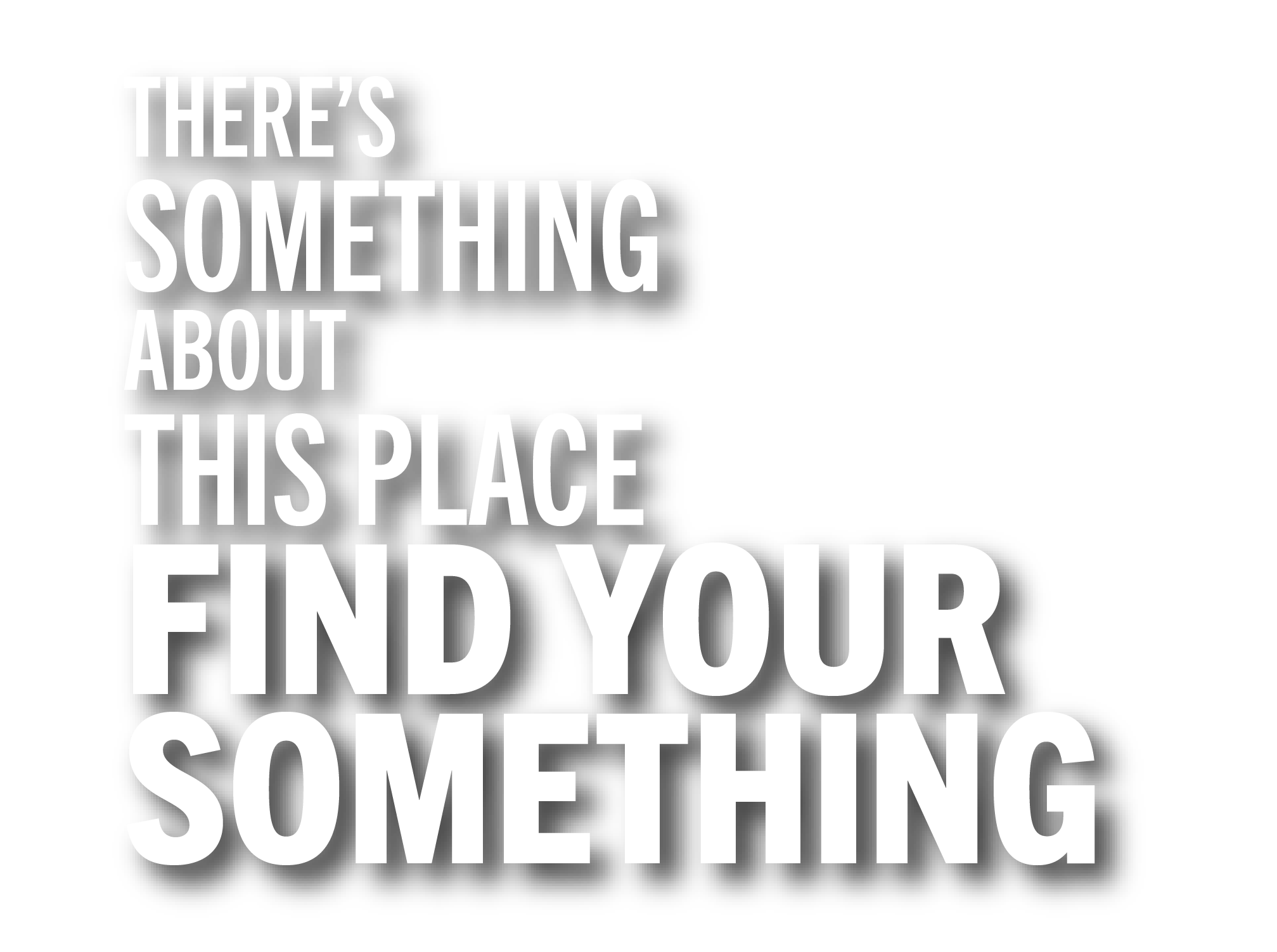 bingo plus net rewards login