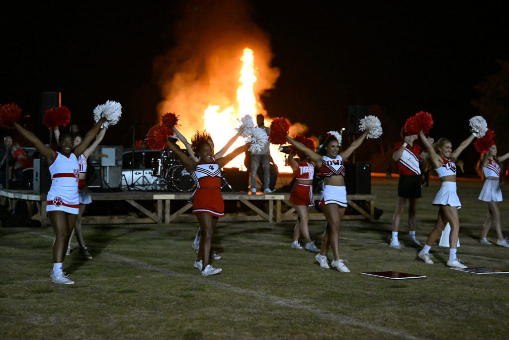 bingo plus reward points login